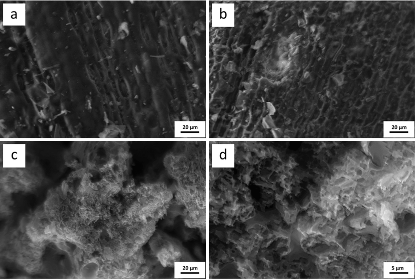 Scanning electron microscope (SEM) micrographs of (a) CL, (b) CL hydrochar, (c) CL-derived NPC at 500x and (d) 2000x magnification.