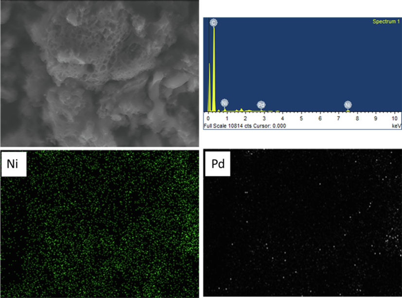 Energy dispersed X-ray (EDX) spectra of PdNi/NPC.