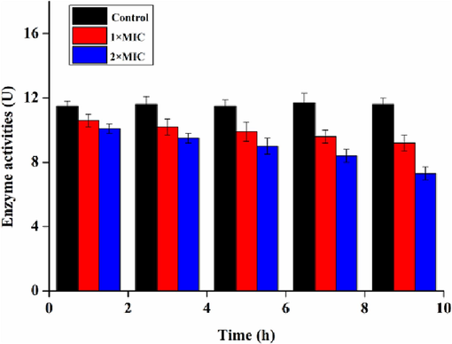 Ca2+-Mg2+-ATPase activities of S.aureus processed by different MIC of NIE emulsion.