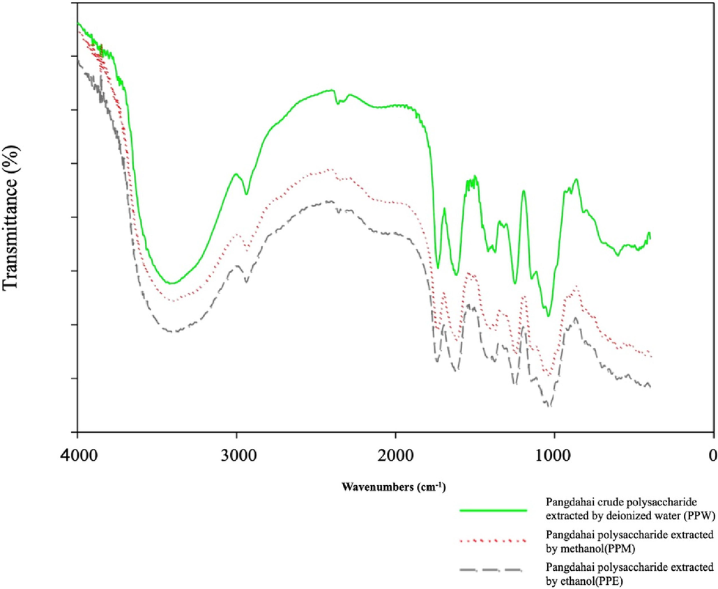 FTIR spectra of polysaccharide of Sterculia lychnophora.