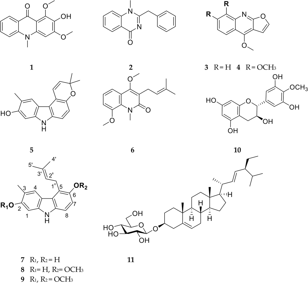 The structures of isolated compounds 1–11 from G. parviflora stems.