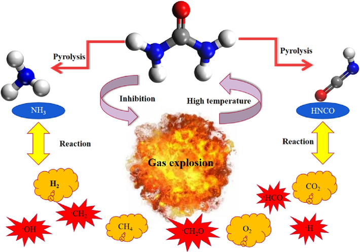 Schematic diagram of the inhibitory structure of urea on gas explosion.