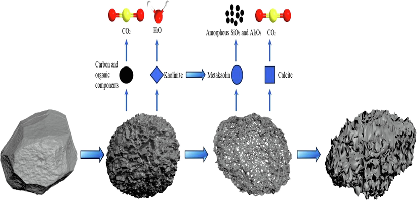 Schematic diagram of the formation mechanism of pore structure in coal gangue.