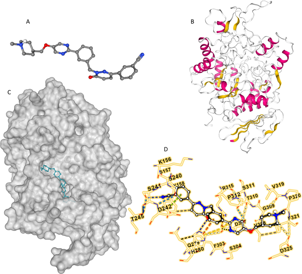 TPT structure (A), α-glucosidase structure (B), TPT-α-glucosidase complex after docking study (C), and amino acid residues of α-glucosidase surrounding the TPT at the binding site (D). The study was done by molecular docking study as described in section 2.6.