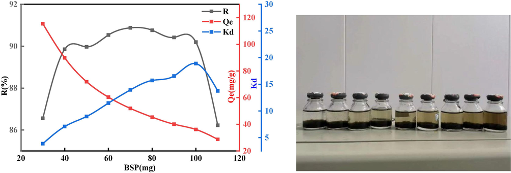 Effect of adsorbent quality on the sorption capacity of BSP.