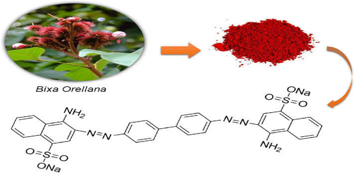 Molecular structure of the Congo Red Dye (CRD).