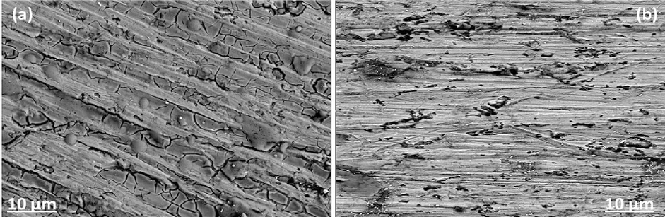 SEM micrographs of aluminum surface after 4 h immersion in 1.0 mol/L HCl without (a) or with 1000 ppm of CRD (b).