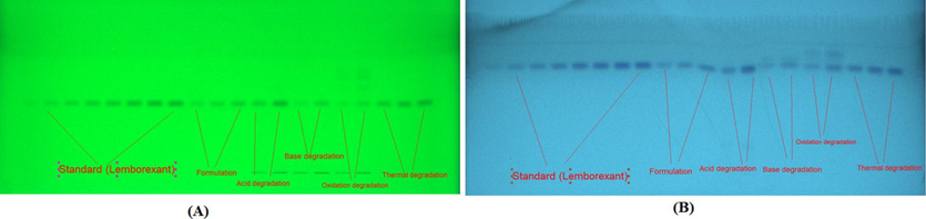 The representative TLC images for standard lemborexant (LMB), marketed tablets, and forced-degradation samples derived using (A) NP- and (B) RP-HPTLC techniques.