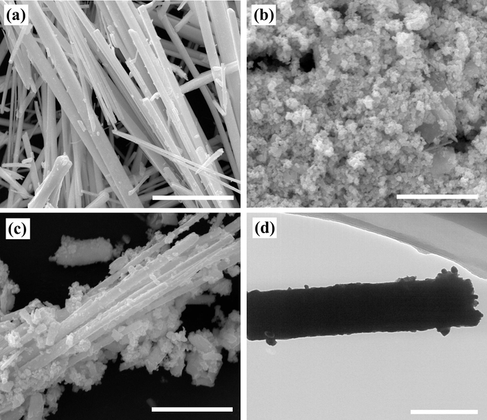 SEM images of (a) BiSI (scale bar = 10 µm), (b) AgI (scale bar = 5 µm), and (c) 3AgI/BiSI (scale bar = 5 µm). (d) A TEM image of (d) 3AgI/BiSI (scale bar = 500 nm).