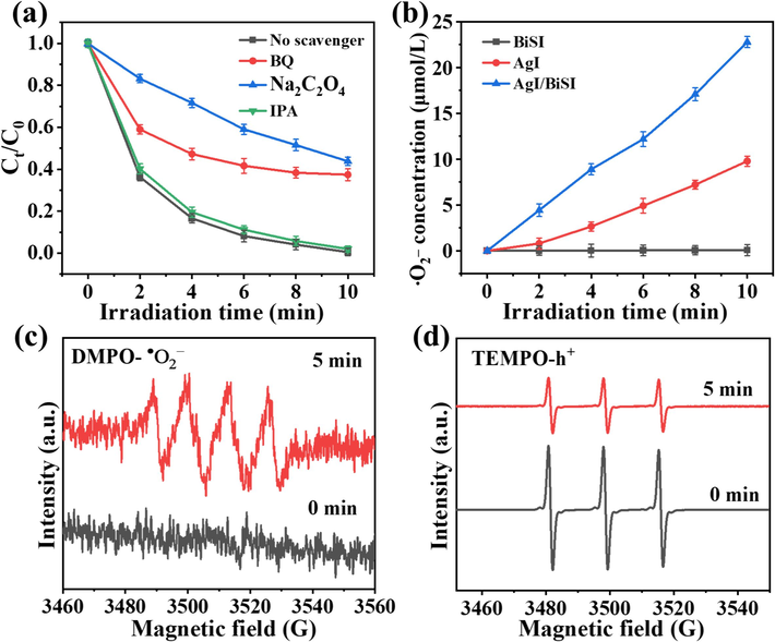 (a) Photocatalytic degradation of AR1 over 3AgI/BiSI with and without scavengers. (b) The concentration of •O2− produced over AgI, BiSI, and 3AgI/BiSI. ESR spectra of (c) DMPO-•O2− and (d) TEMPO-h+ in the 3AgI/BiSI system.