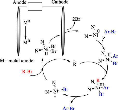 The mechanism that explains the electrochemical cross-electrophile coupling.