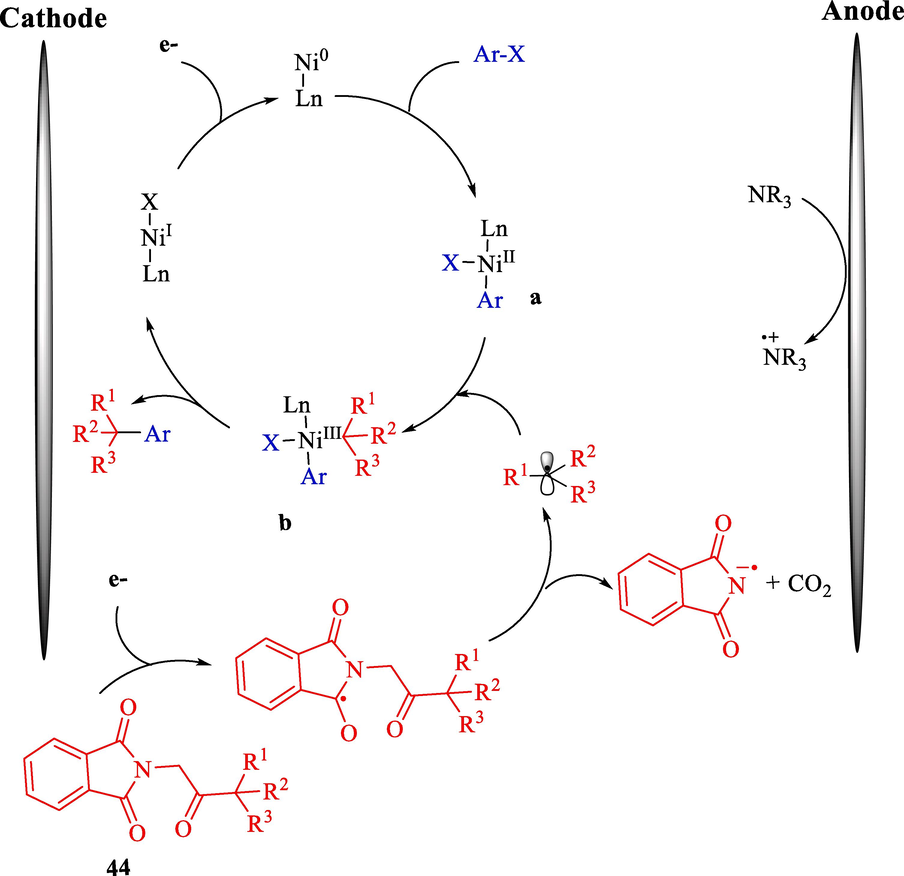 Proposed mechanism of electrochemical-driven decarboxylative arylation by nickel-catalyzed.