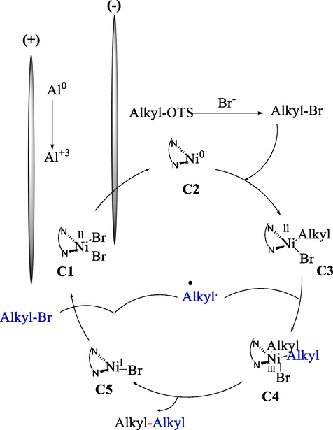 Mechanistic pathway for electrochemical cross-coupling.