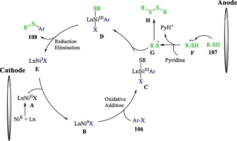 The proposed mechanism reaction.