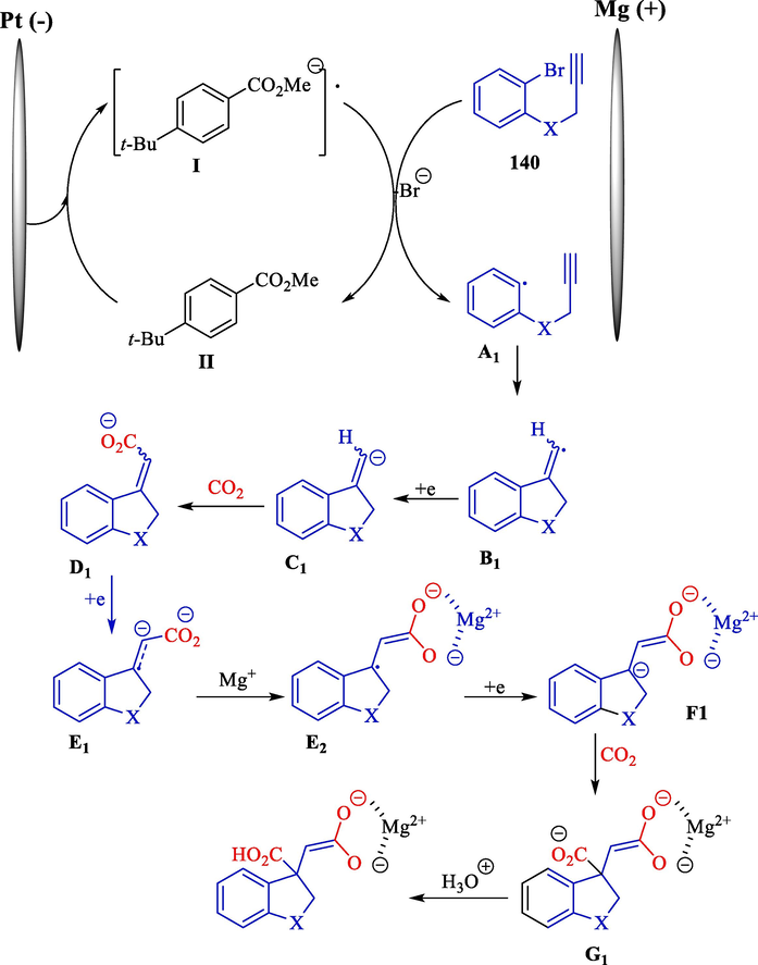 The acceptable mechanism of the radical cyclization.