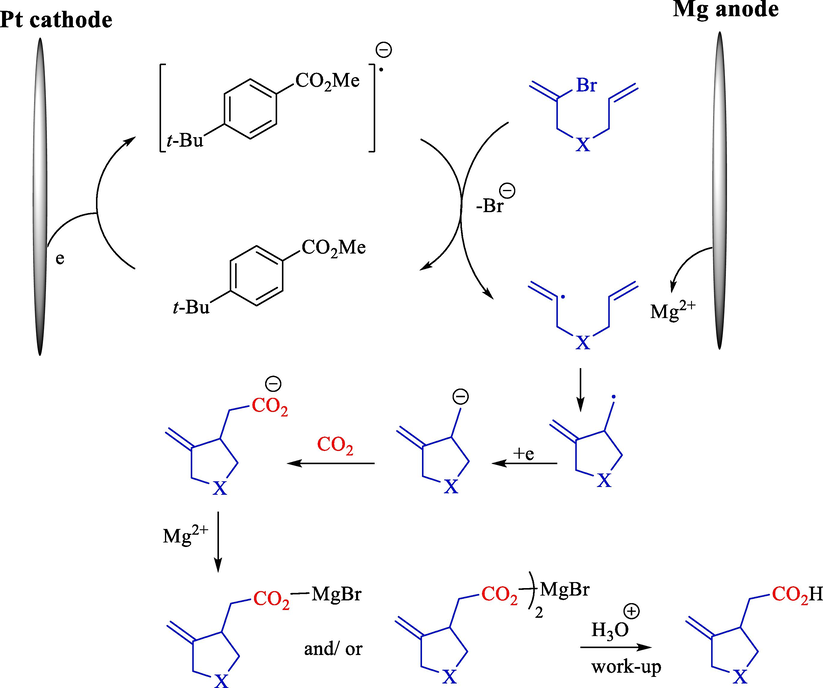 Plausible reaction mechanism.