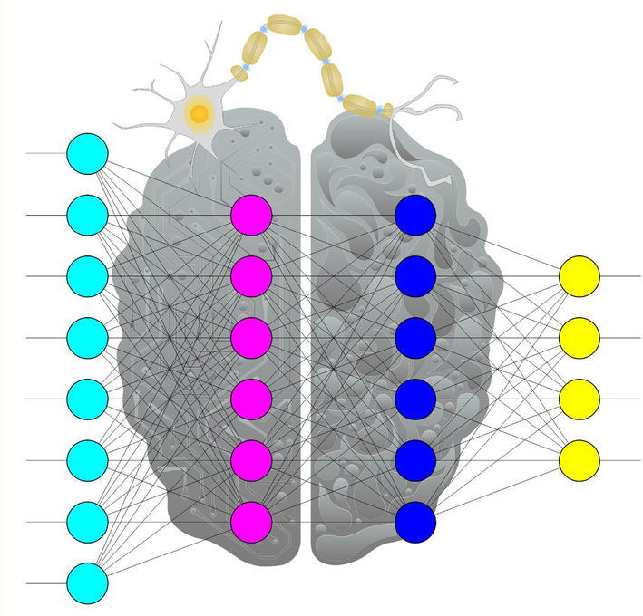 General schematic of an ANN.