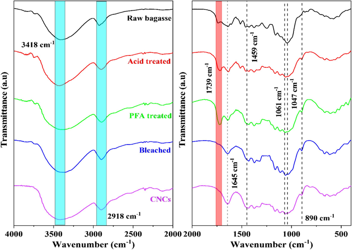 FTIR spectra of SCB at different stages of chemical treatment and CNCs.