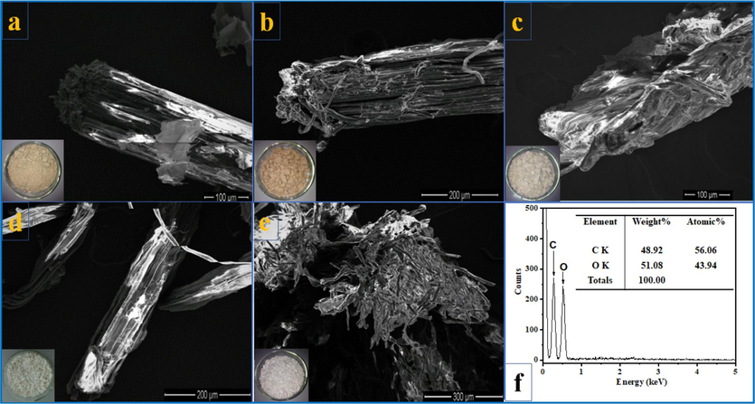 (a-e) Digital photographs and SEM images of the SCB at different stages of treatment; (f) EDX spectra of CNCs.