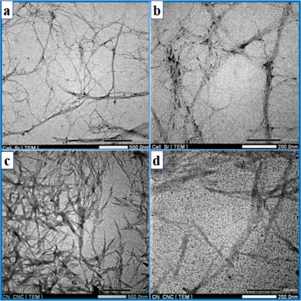 TEM image of (a, b) bleached SCB and (c, d) CNCs.