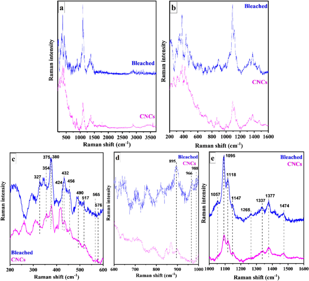 Raman spectra of bleached SCB and CNCs (a) in the range of 200–3600 cm−1 and (b–e) within specific band regions.