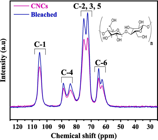 13C NMR spectra of bleached SCB and CNCs.