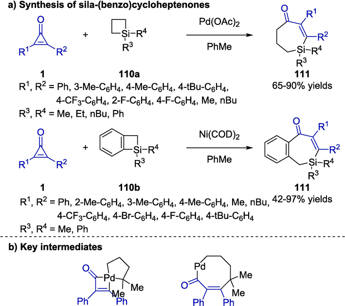 Transition metal-catalyzed synthesis of sila-(benzo)cycloheptenones.