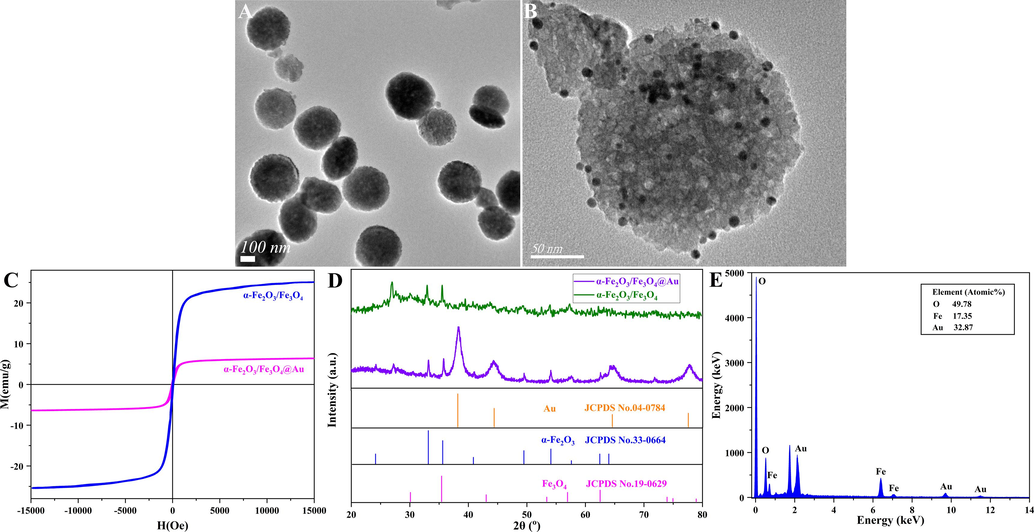 TEM images of magnetic α-Fe2O3/Fe3O4 heterogeneous nanosheets (A) and magnetic α-Fe2O3/Fe3O4@Au nanocomposites (B); the hysteresis loops (C), XRD patterns (D) of magnetic α-Fe2O3/Fe3O4 heterogeneous nanosheets and magnetic α-Fe2O3/Fe3O4@Au nanocomposites; EDS pattern (E) of Fe3O4/α-Fe2O3@Au.