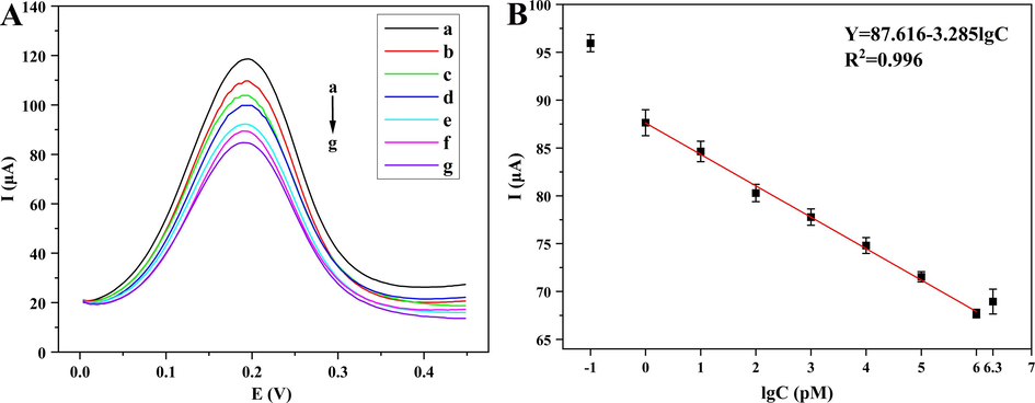 The DPV plots of the biosensor detecting various concentrations of tDNA (A): 1 pM (a), 10 pM (b), 100 pM (c), 1 nM (d), 10 nM (e), 100 nM (f), 1 μM (g), and the linear relationship between the current responses and tDNA (B).