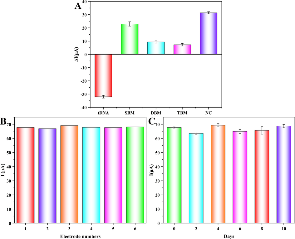 The selectivity (A), reproducibility (B), and stability (C) of the designed tDNA electrochemical biosensor.