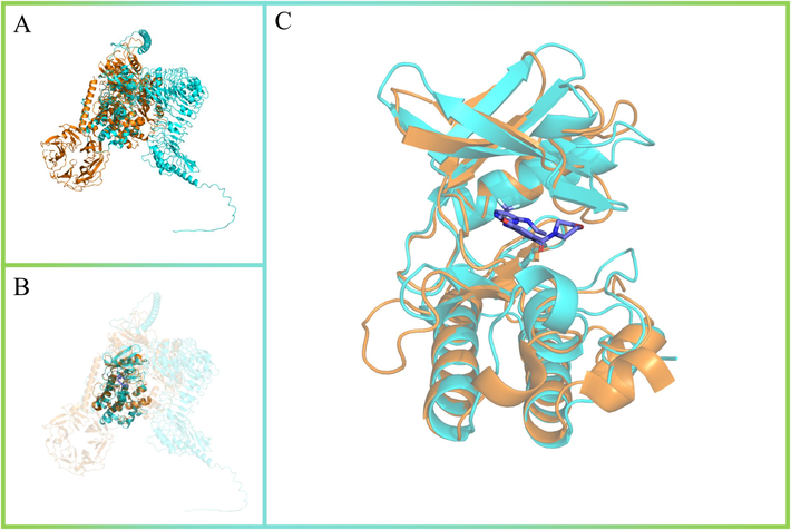 Structural comparison of kinase domains between LRRK2 and SR160. (A) The overall 3D structure of LRRK2 (PDB:8U7H) and SR160 (AF-Q8L899-F1-model_v4). The backbone of protein was rendered in tube. LRRK2 was colored in orange and SR160 was colored in cyan. (B) The kinase domains of LRRK2 and SR160 were highlighted. (C) The binding packet of LRRK2-GEN7915 complex.