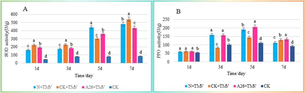 Results of defense enzyme activity. (A) SOD activity, (B) PPO activity. Straight sticks signify mean ± SD (n = 3). A one-way ANOVA followed by Duncan's test was used for significant differences at P < 0.05, marked with lowercase letters. Different lowercase letters indicate significant differences.