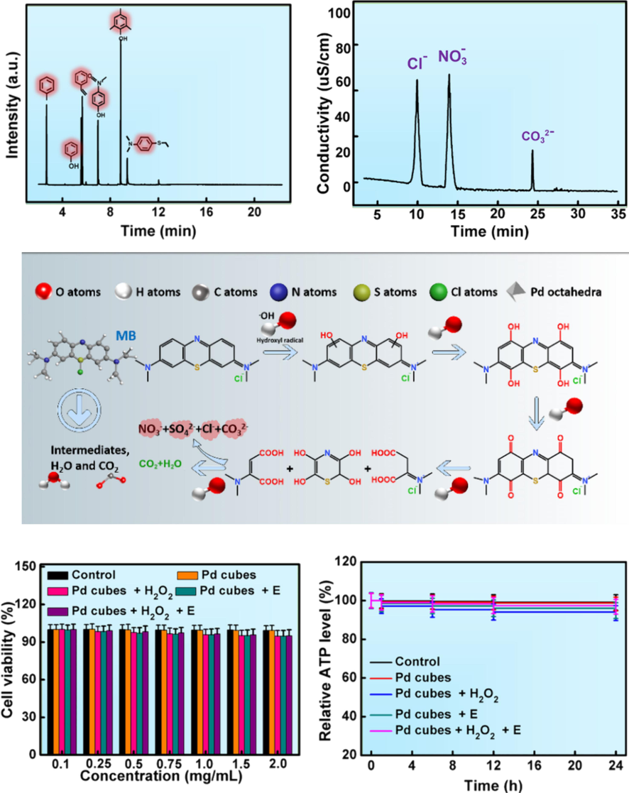 The decomposition process of MB. (A, B) GC–MS and IC test results during the degradation of MB. (C) Degradation pathway of MB. (D, E) Cell viability and ATP activity after co-incubation with Pd cubes.