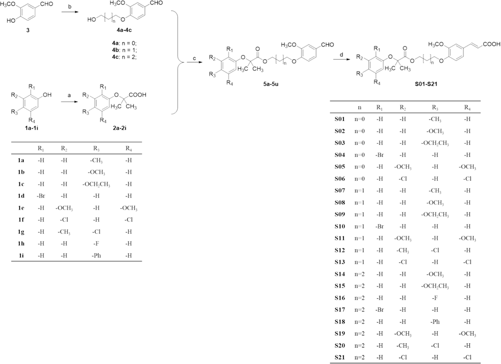 Preparation of the target compounds S01-S21, with the following reaction conditions: (a) NaOH, CHCl3, acetone, under reflux for 3 h; (b) Halohydrin, K2CO3, TBAI, DMF at 50 °C for 5 h; (c) EDCI, 4-dimethylaminopyridine, Et3N, DCM at room temperature for 5 h; (d) Malonic acid, piperidine, pyridine at 90 °C for 8 h.