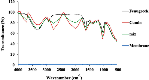 The FTIR curves for the free membrane formed using (CMC/ChS) and loaded membrane of the FE, BC, and their mix.