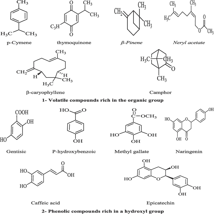 Chemical structures of bioactive molecules present in the applied extract (FE-CE).