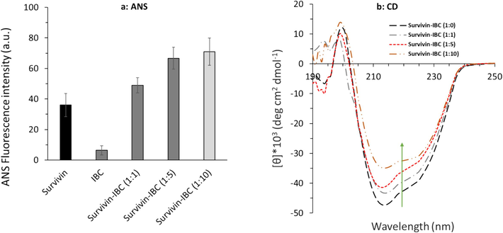 (a) ANS fluorescence spectroscopy, and (b) far-UV CD spectroscopy measurements of survivin-IBC complex.