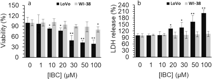 (a) Effect of different concentrations of IBC on the viability of the LoVo cancer and WI-38 normal cells after 24 h assessed by MTT assay. (b) Effect of different concentrations of IBC on membrane damage of the LoVo cancer and WI-38 normal cells after 24 h assessed by LDH assay.