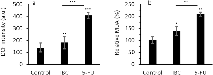 (a) Effect of IC50 concentration of IBC (35 µM) or 35 µM 5-FU on DCF intensity (ROS formation) of the LoVo cancer cells after 24 h. (b) Effect of IC50 concentration of IBC (35 µM) or 35 µM 5-FU on MDA level of the LoVo cancer cells after 24 h. Data are shown as mean ± SD (n = 3). * p < 0.05, ** p < 0.01, *** p < 0.001.