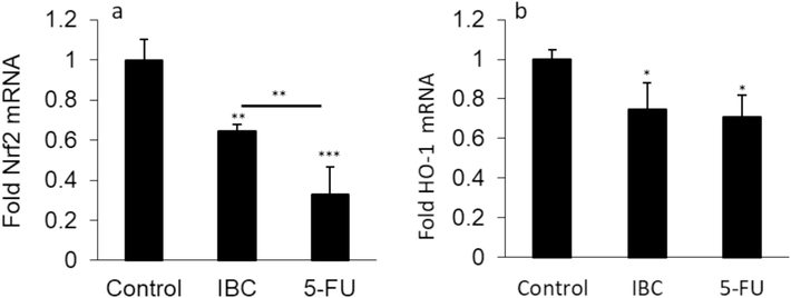 (a) Effect of IC50 concentration of IBC (35 µM) or 35 µM 5-FU on expression of Nrf2 mRNA of the LoVo cancer cells after 24 h. (b) Effect of IC50 concentration of IBC (35 µM) or 35 µM 5-FU on expression of HO-1 mRNA of the LoVo cancer cells after 24 h. Data are shown as mean ± SD (n = 3). * p < 0.05, ** p < 0.01, *** p < 0.001.