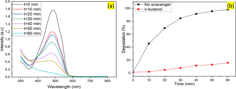 (a) UV–Visible absorption spectra of MO degradation by the Fe/Cu-HC catalyst during the reaction time. (b) MO degradation on the Fe/Cu-HC/H2O2 system with or without OH· trapping agent. Reaction conditions: [MO] = 100 mg. l−1, Catalyst mass = 1.65 g.l−1, [H2O2] = 4 mM, pH = 6, T = 35 °C, t = 60 min.