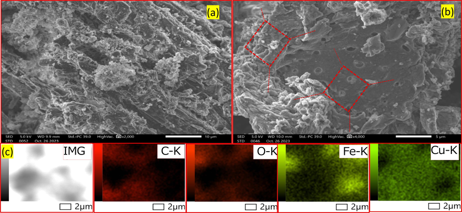 SEM image of virgin HC (a), hydrochar co-doped Fe/Cu-HC (b), (c) EDS mapping images of Fe/Cu-HC.