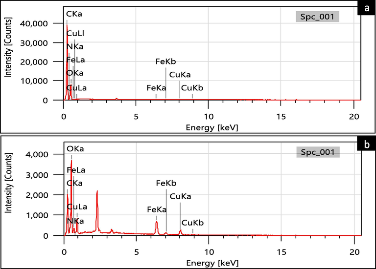 (a) EDS of virgin HC, (b) Fe/Cu-HC co-doped HC.