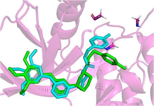 Redocking ligand and homologous ligand congruence conformation; Homologous ligand (Green), re-docked ligand (blue). (For interpretation of the references to color in this figure legend, the reader is referred to the web version of this article.)