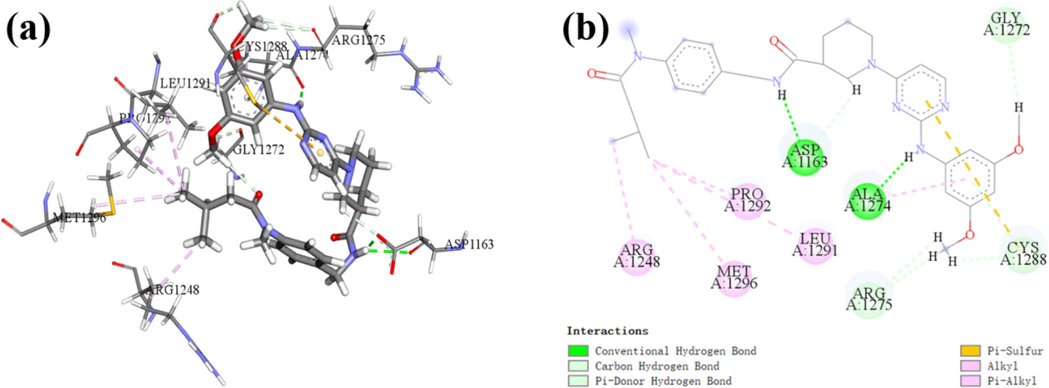 The molecular docking results of the newly designed compound N55, PDB ID: 4DCE; (a) 3D docking results; (b) 2D docking results.