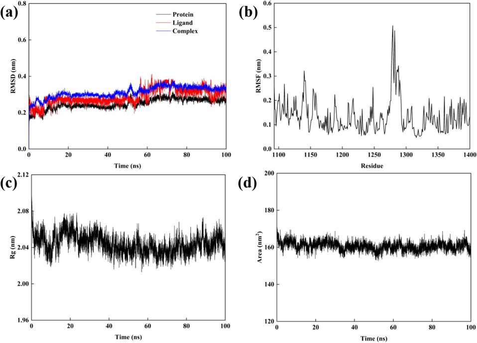 Results of a 100 ns molecular dynamics simulation, (a) RMSD of proteins, ligands and complex; (b) The RMSF values of complex; (c) The Rg values of complex; (d) The SASA values of complex.