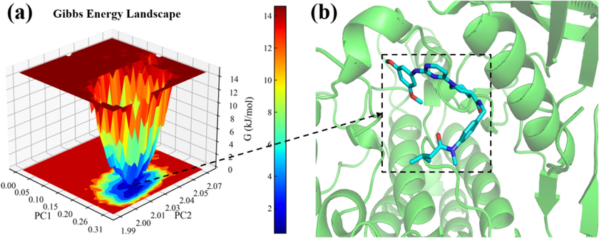 The free energy landscape of the complex; (a) Free energy landscape 3D result map; (c) Results of the lowest energy conformational interaction.