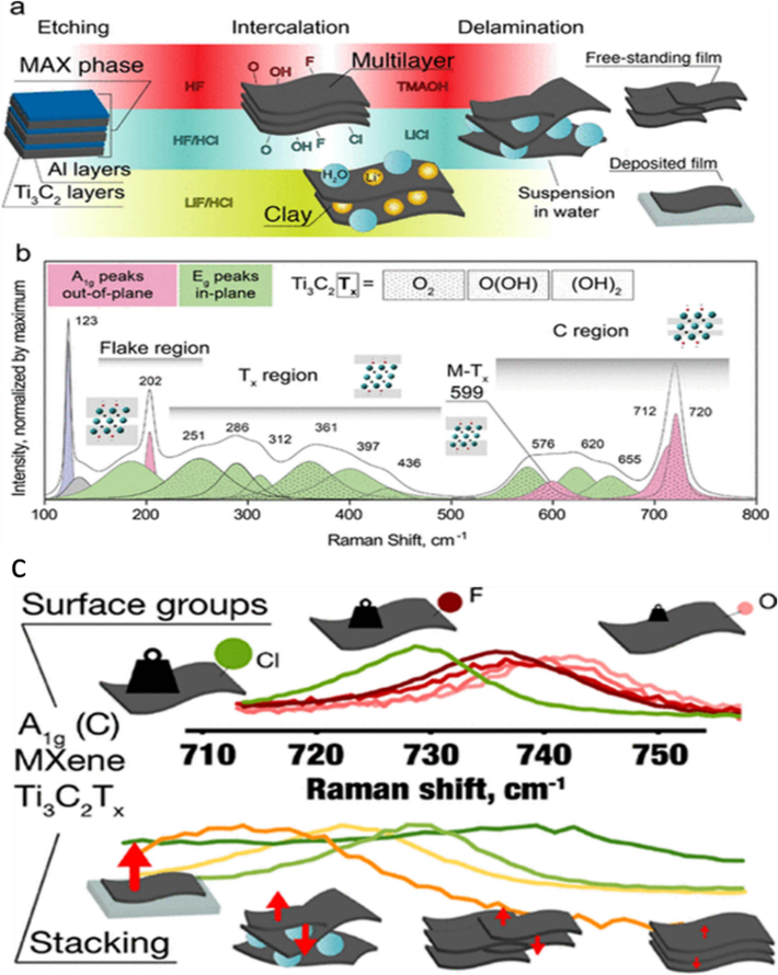 Synthesis of Ti3C2Tx and Raman peak assignment. (a) Schematics showing the Ti3C2Tx at various processing stages, such as etching, intercalation, and delamination, as well as the synthesis and delamination techniques used in this investigation. (b) A deconvoluted Raman spectrum derived from a Ti3C2Tx film excited by a 785 nm laser and synthesized via HF–HCl etching. The spectrum is separated into three regions: the flake region, which is associated with surface groups, two titanium layers, and a group vibration of carbon; the Tx region, which is associated with surface group vibrations; and the carbon region, which is associated with both in-plane and out-of-plane vibrations of carbon atoms. (c) Raman Spectroscopy Study of Ti3C2Tx MXene's Structure and Surface Chemistry (Sarycheva and Gogotsi, 2020).