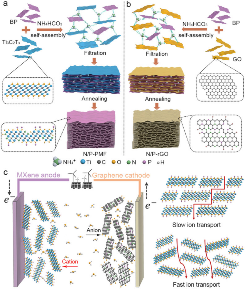  Diagrammatic representation of the steps involved in preparing (a) N/P-PMF, (b) N/P-rGO, and (c) the asymmetric supercapacitors [(Xu, S., Li, Y., Mo, T., Wei, G., & Yang, Y. (2024)].