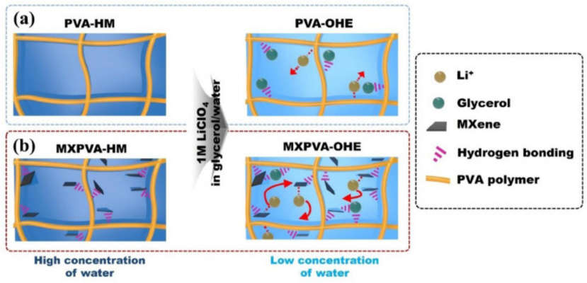  Diagrammatic representation of the steps involved in the synthesis of (a) PVA-OHE and (b) MXPVA-OHE (Moon et al., 2023).